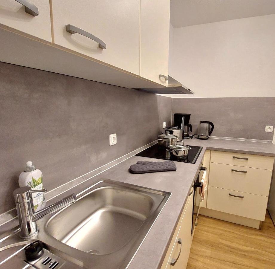 Moderne Wohnung Mit Vollausstattung In Ruhiger Lage, W-Lan Grossrohrsdorf Eksteriør billede